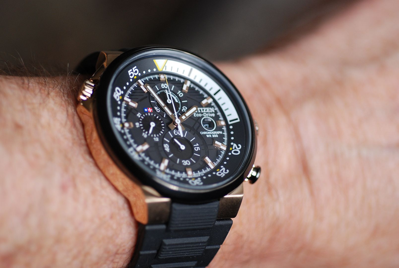 citizen endeavor watch
